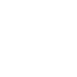 Double Y Athlone logo.